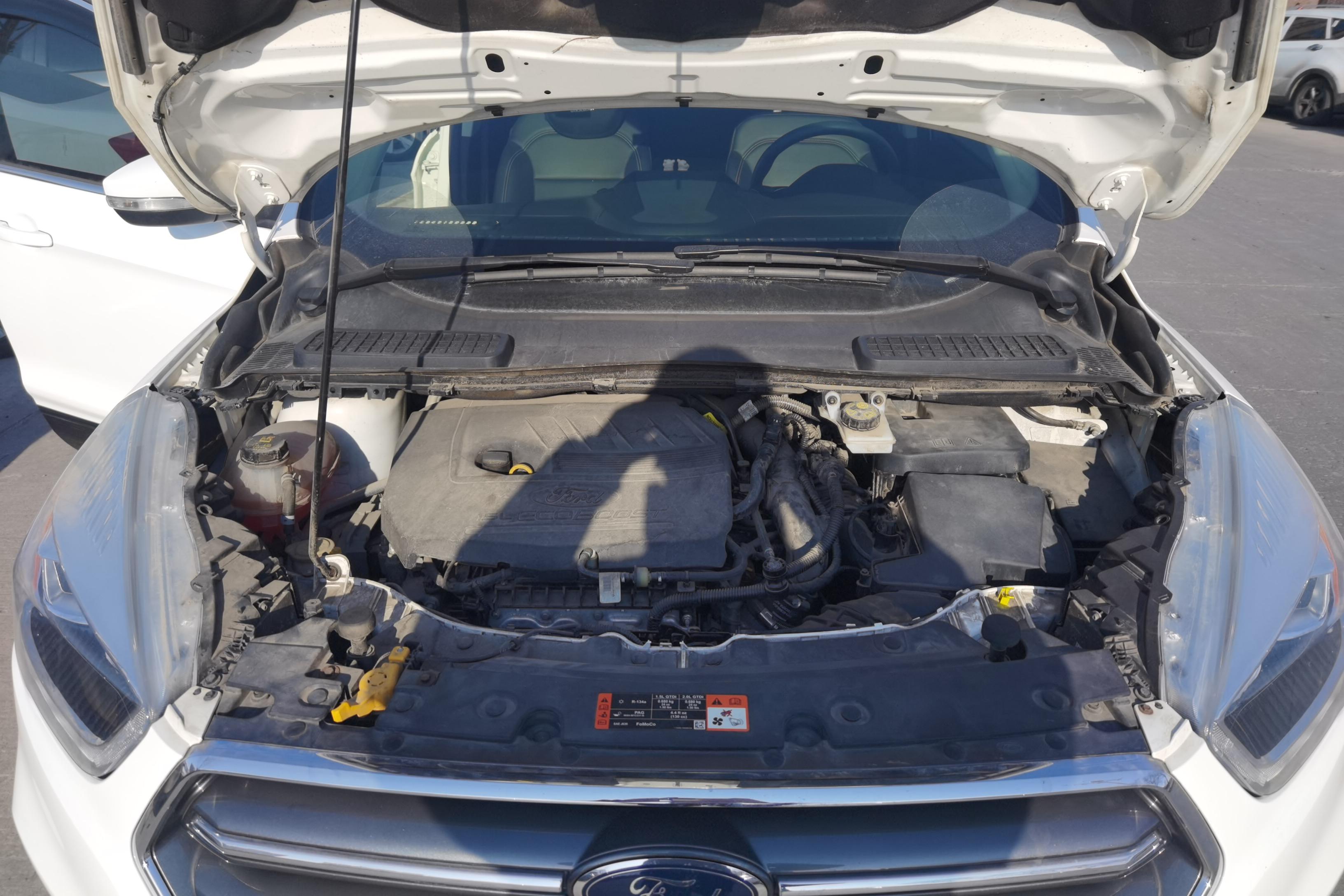 Ford Kuga 2020 immagine di auto #25