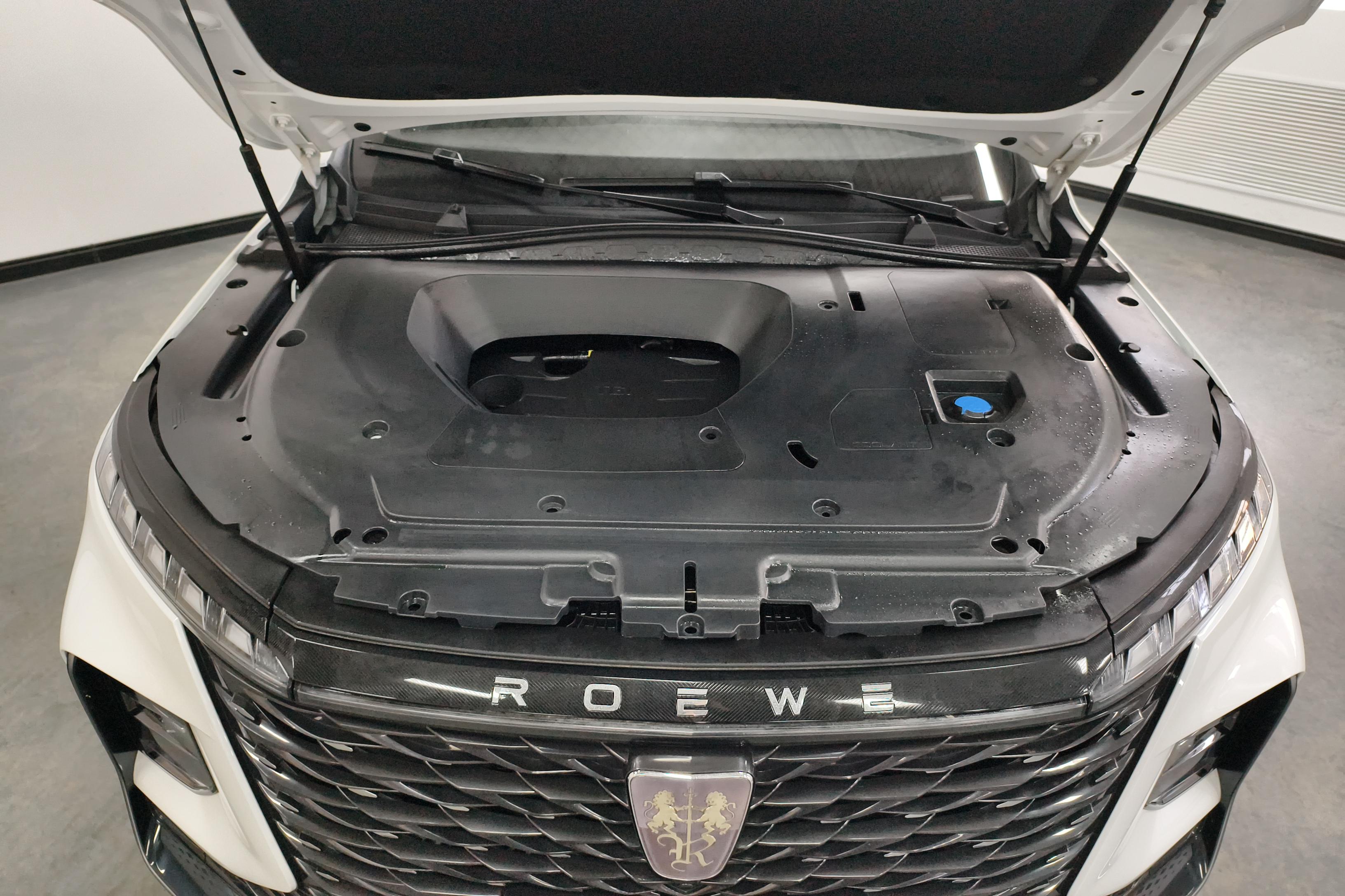 Roewe RX5 MAX 2023 изображение автомобиля #25