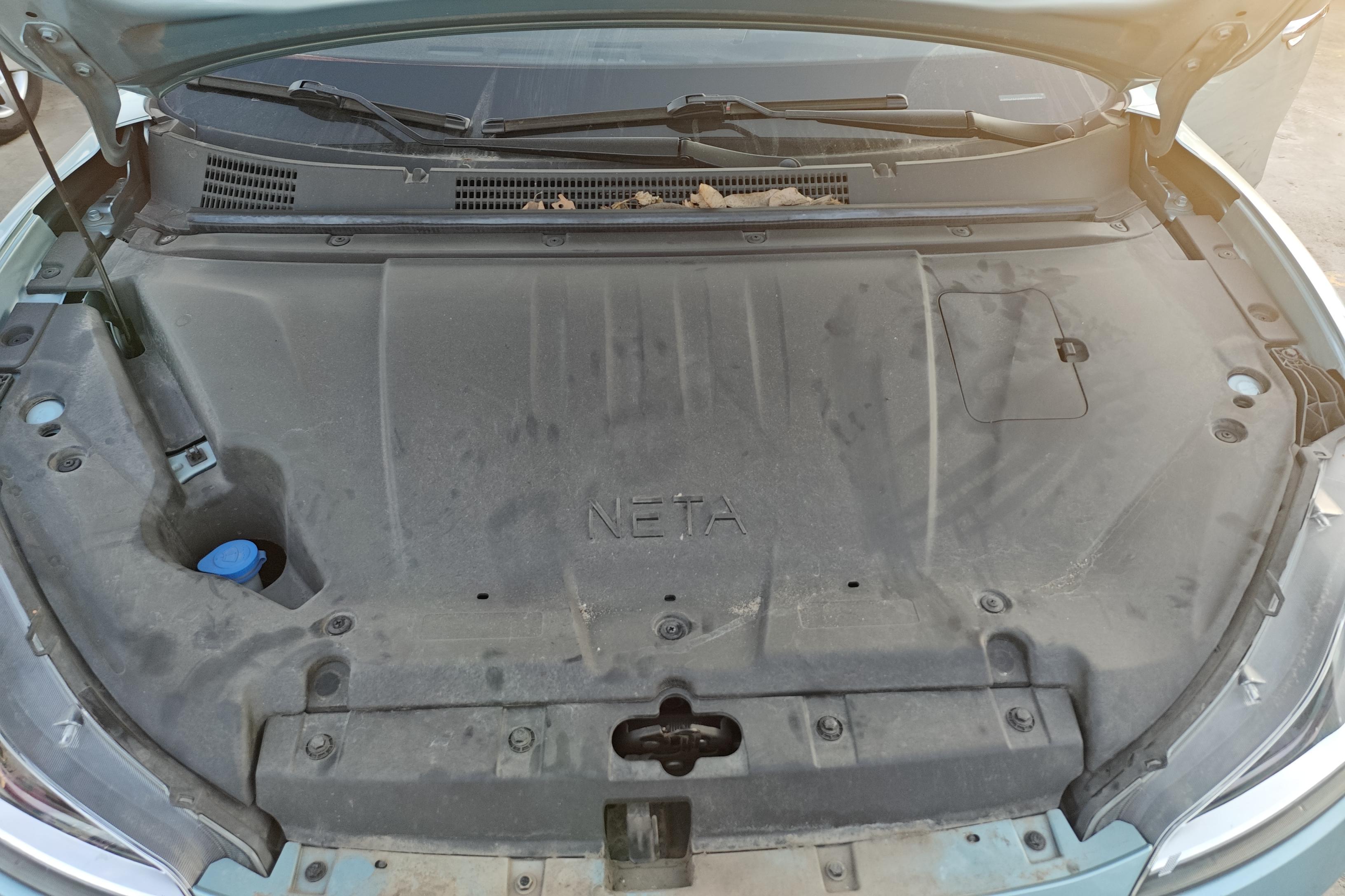 Neta L 2022 imagen de coche #25