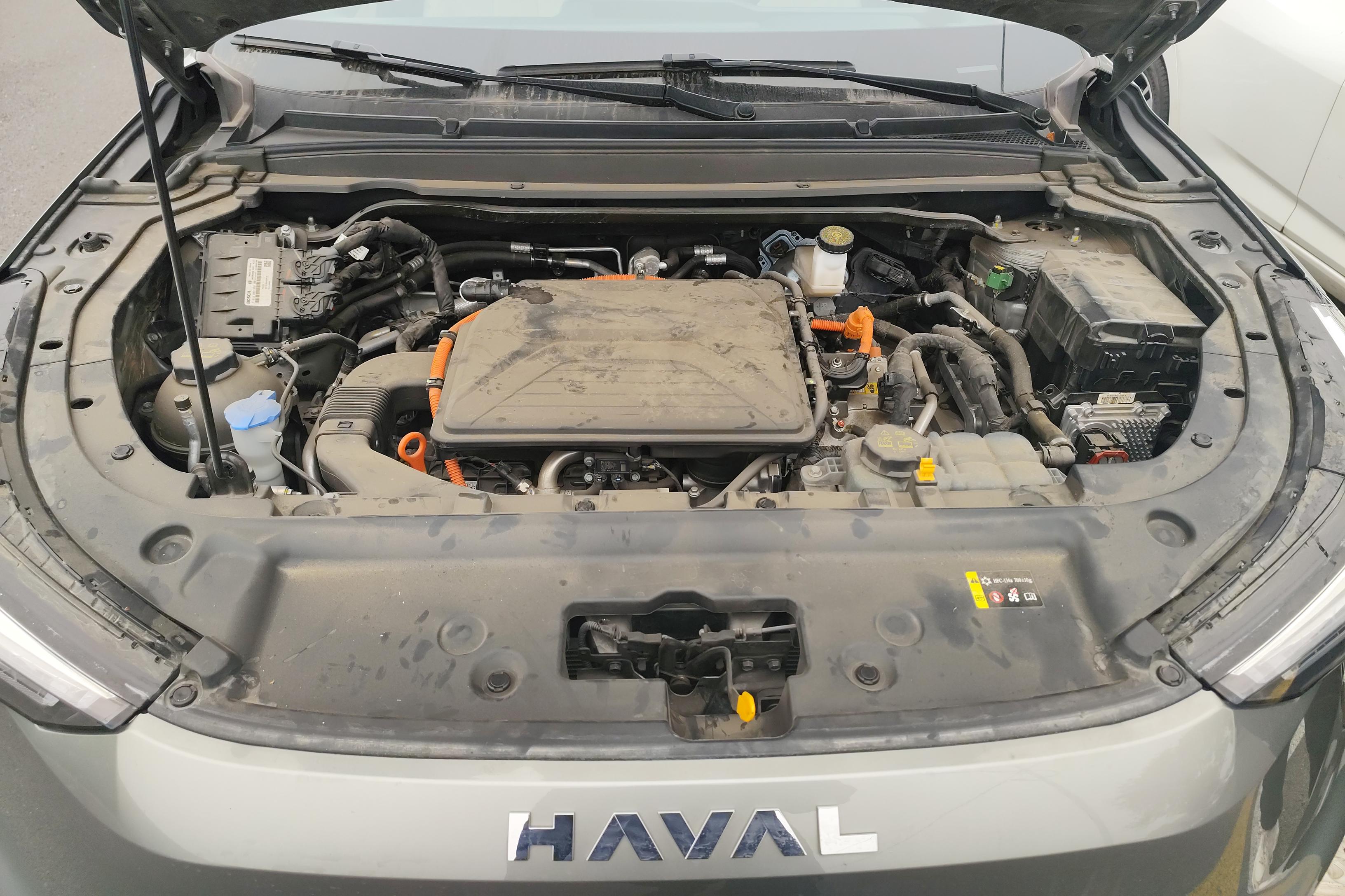 Haval Fierce Dragon 2023 car image #25