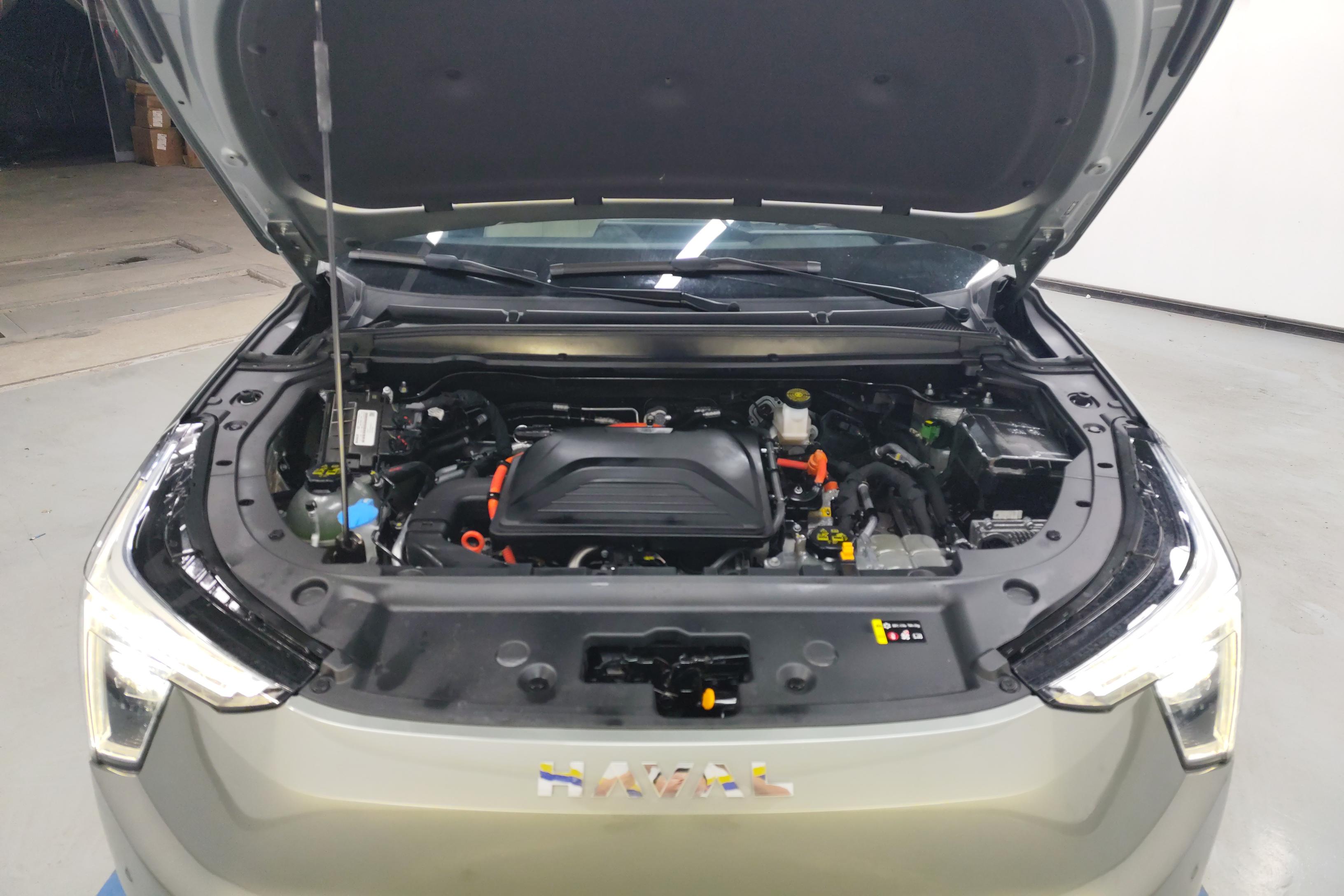 Haval Fierce Dragon 2023 car image #25