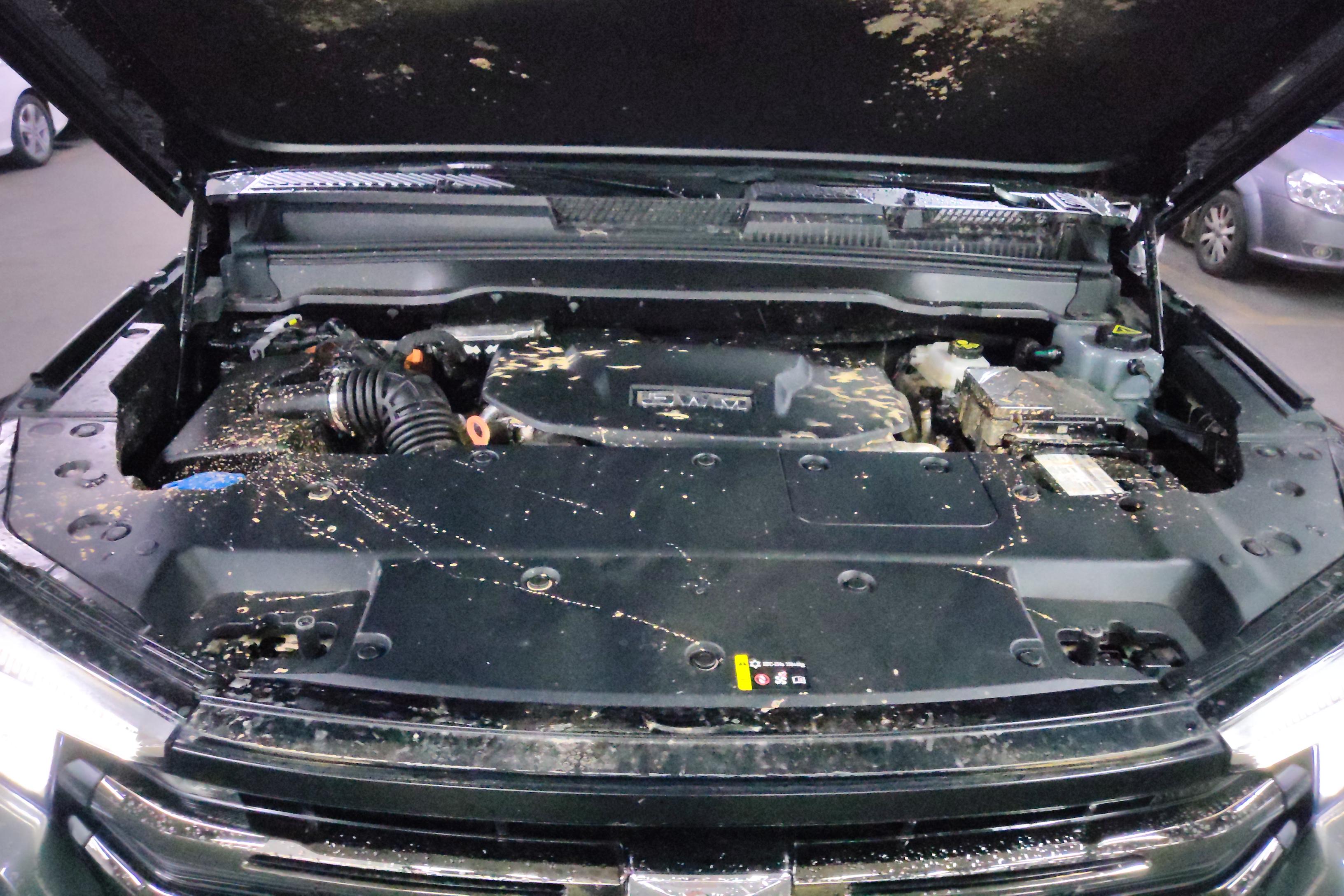 Tank 400 2024 car image #25