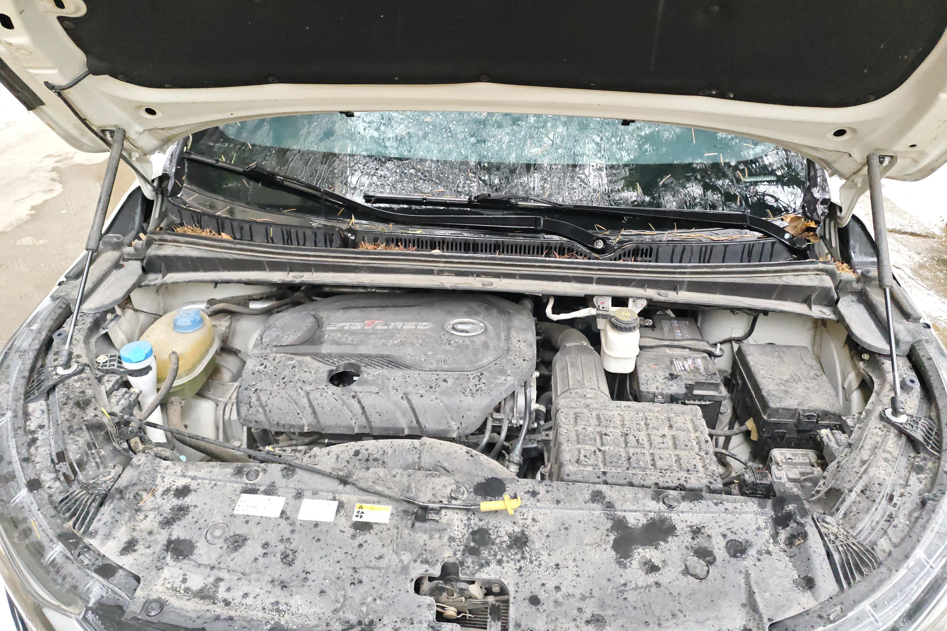 GAC Trumpchi M6 2020 immagine di auto #25