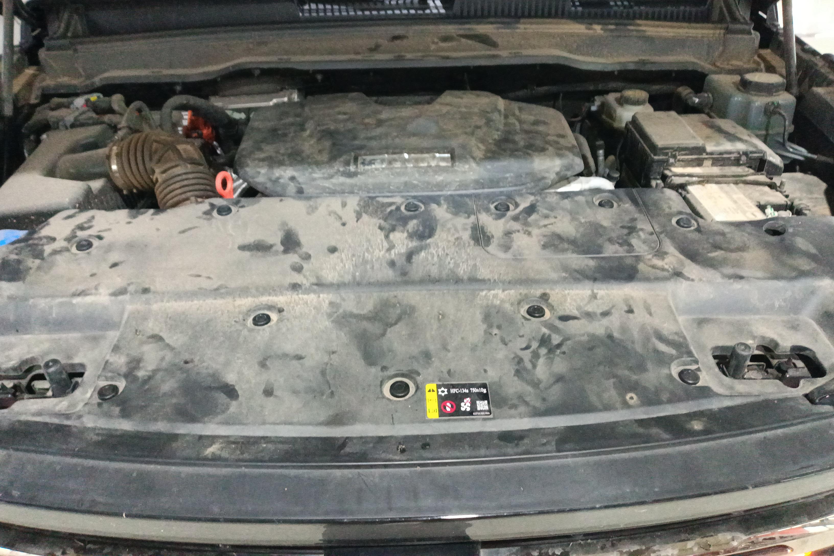 Tank 400 2024 car image #25