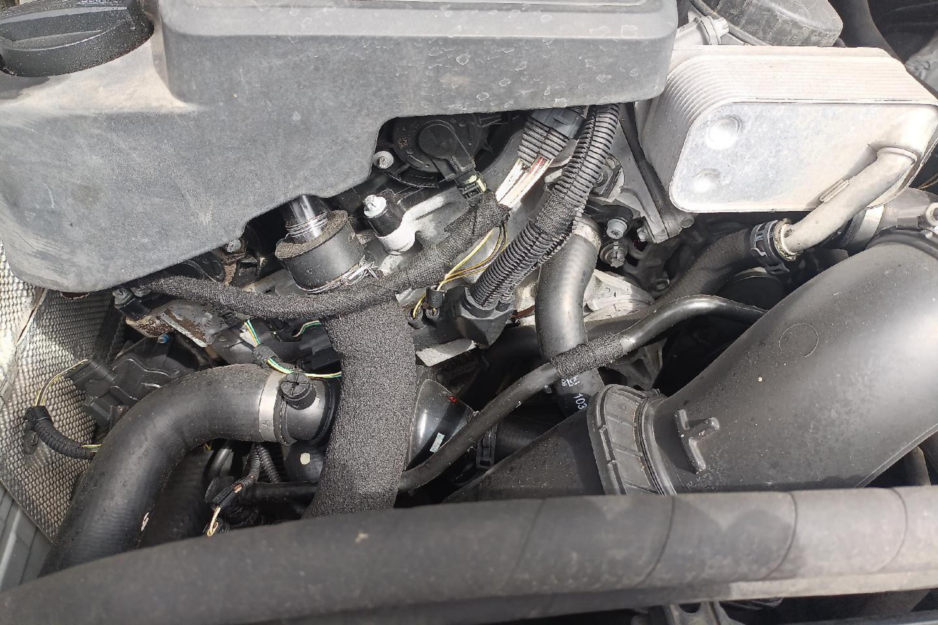 Honda Gienia 2019 car image #25