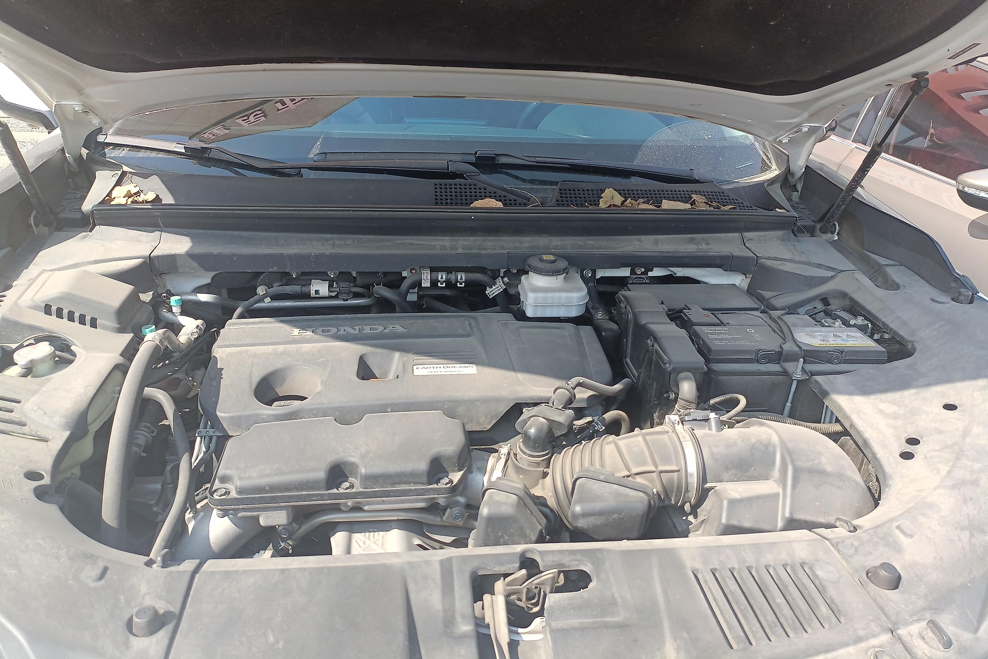 Honda Avancier 2019 car image #25