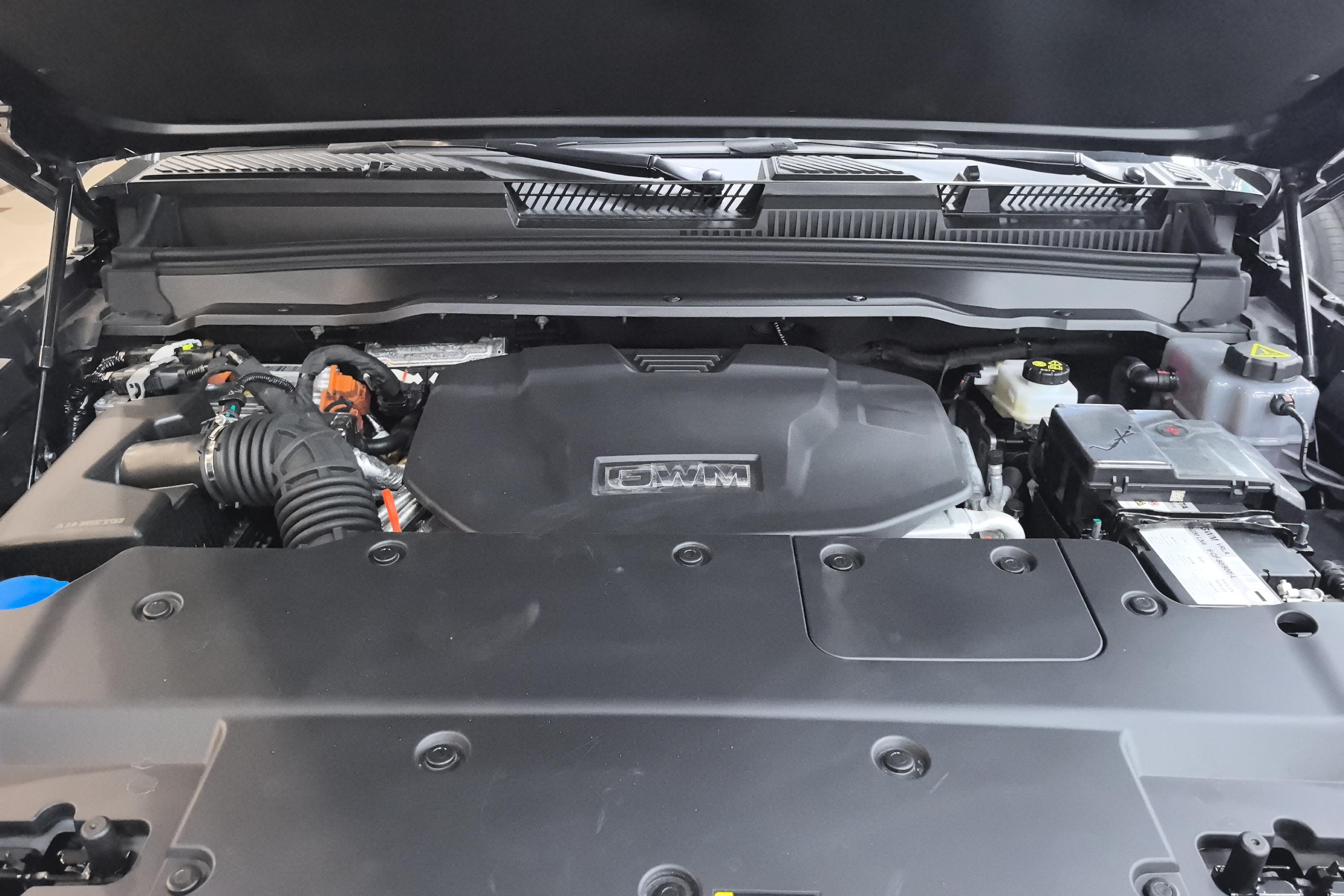 Tank 400 2024 car image #25