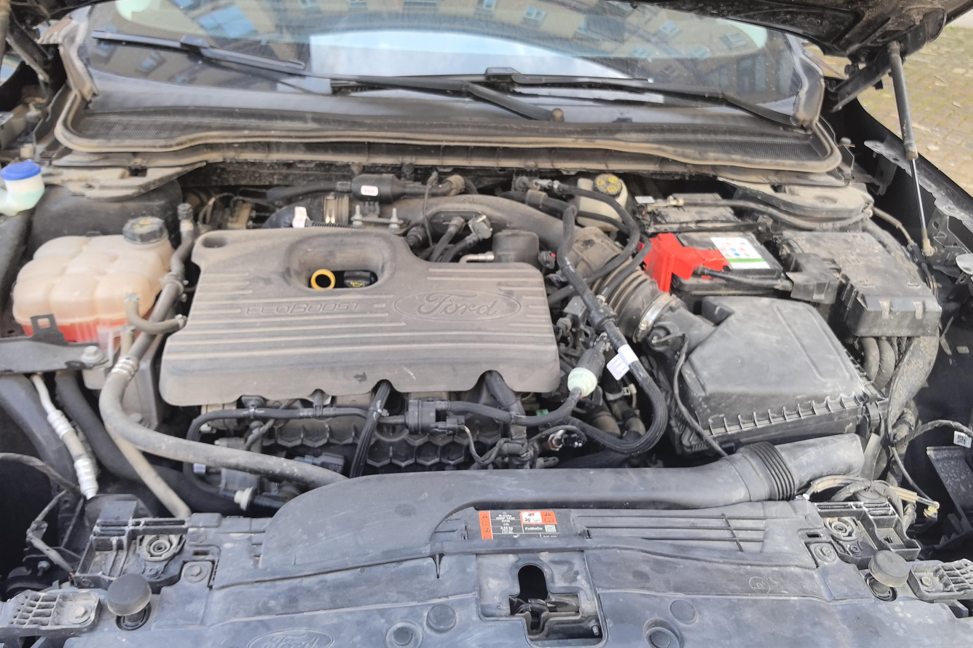 Ford Evos 2021 #25 Ford Evos 2021 immagine di auto #25