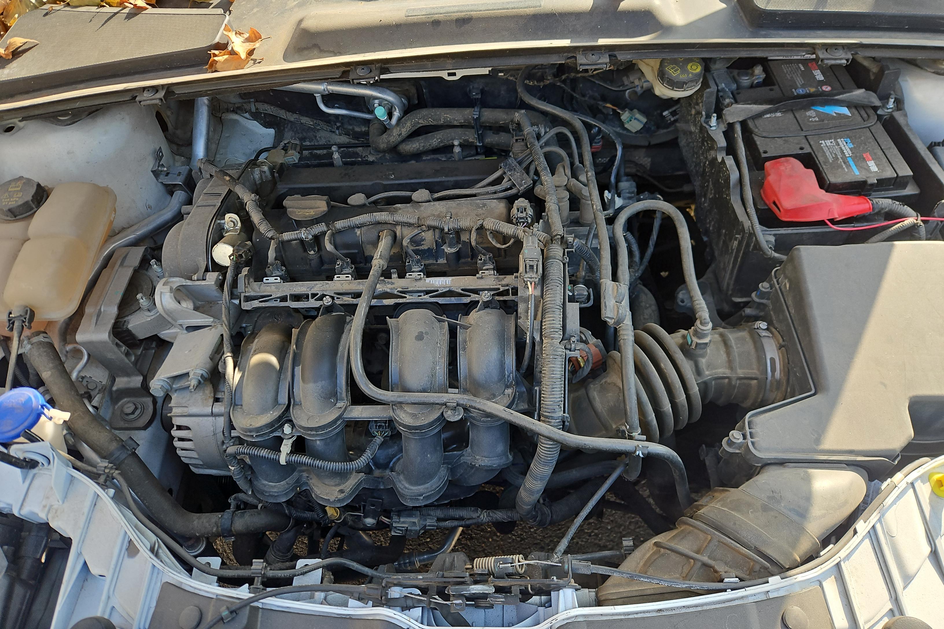 Ford Escort 2018 car image #25