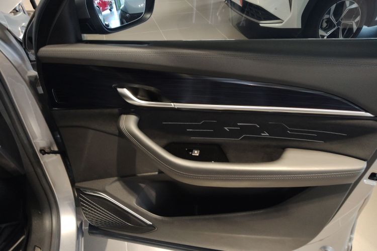 GEELY Tugella 2023 car image #25