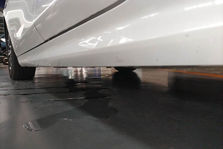 BYD Qin Pro New Energy 2020 car image #25