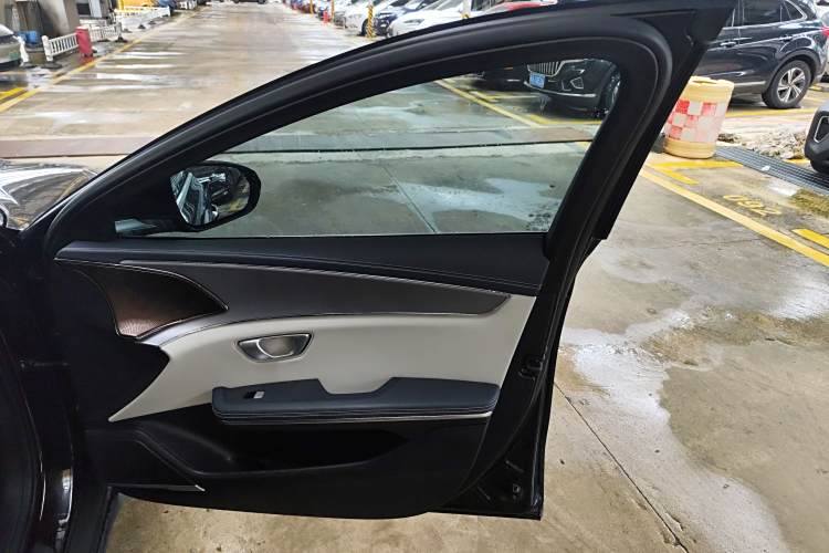 BYD e9 2021 car image #25