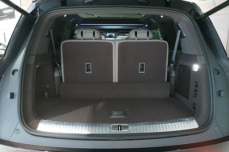 Denza N9 2025 car image #25