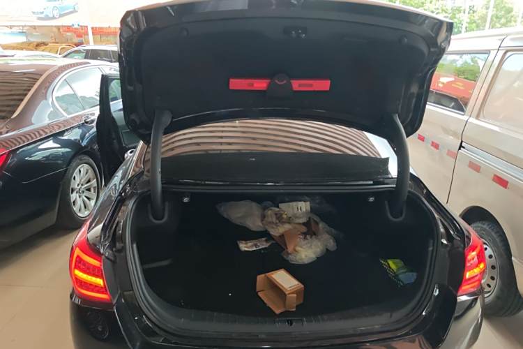 HongQi S9 2021 car image #25