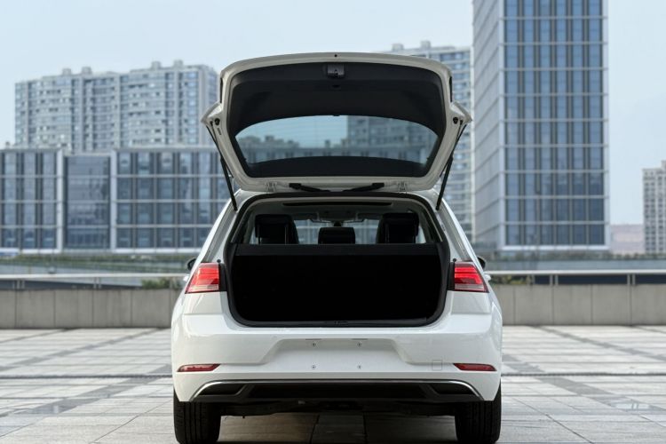 Volkswagen Golf Pure Electric 2020 car image #25