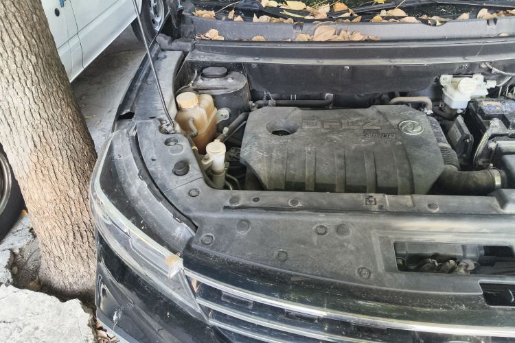 Forthing JOYEAR X5 2018 car image #25