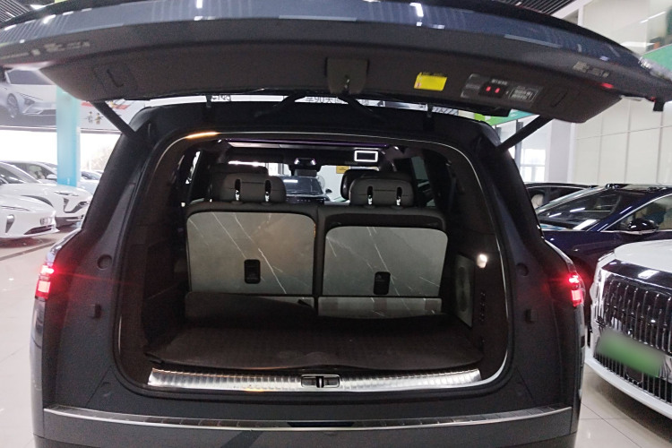 Denza N9 2025 immagine di auto #25