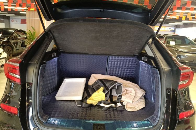 Honda Avancier 2021 صورة سيارة #25