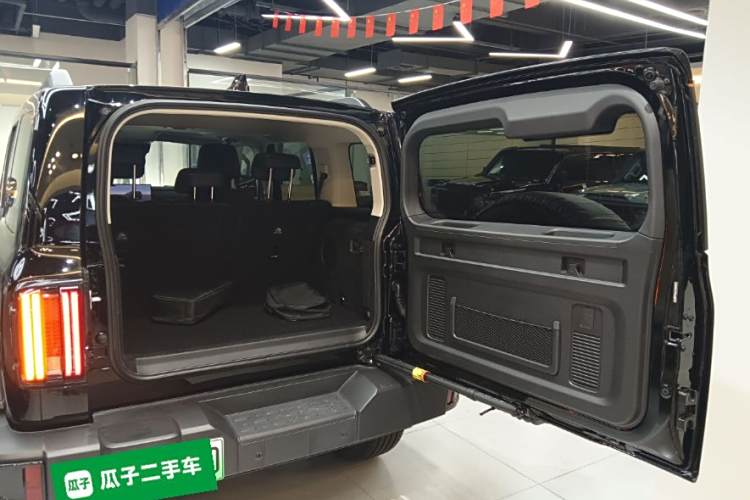 Tank 300 New Energy 2025 car image #25