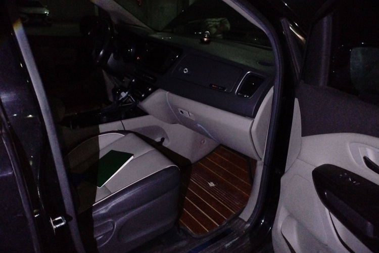 Kia Carnival (Imported) 2016 car image #25