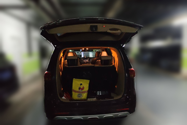 Kia Carnival (Imported) 2016 изображение автомобиля #25