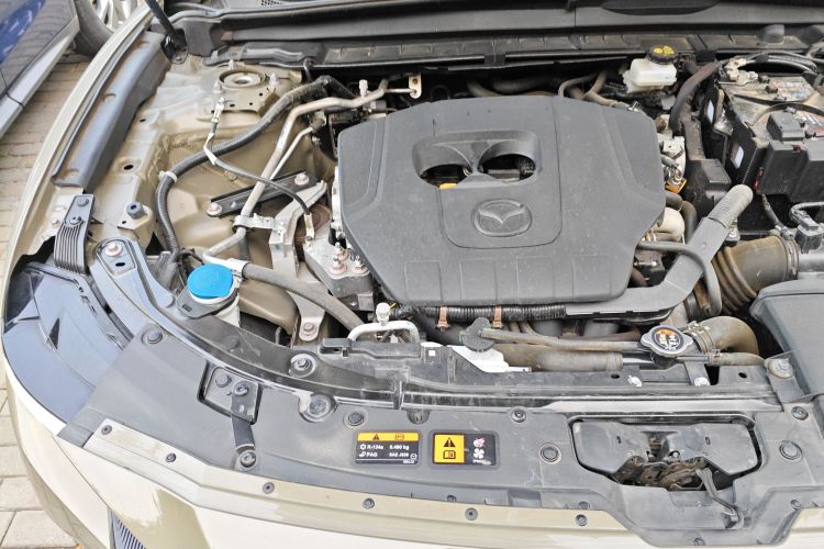 马自达 马自达CX-50行也 2023 汽车图片 #25