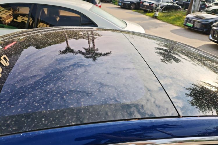 特斯拉 Model 3(进口) 2019 汽车图片 #25