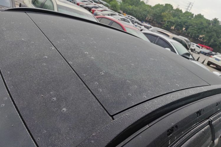 Ford Evos 2023 car image #25