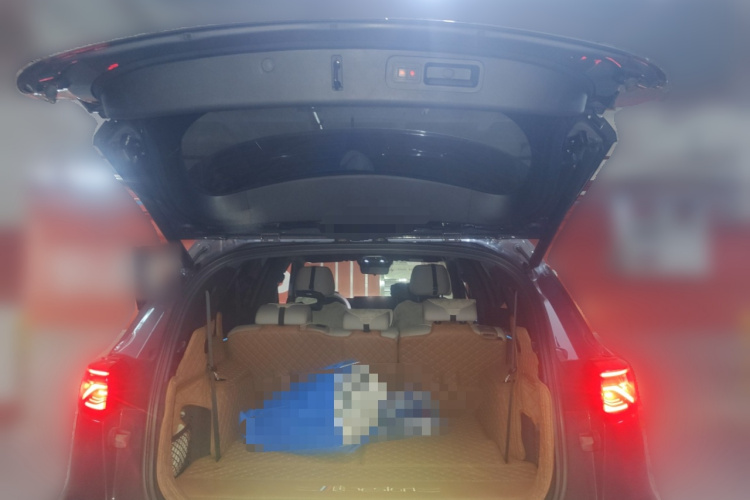 BYD Tang New Energy 2024 car image #25
