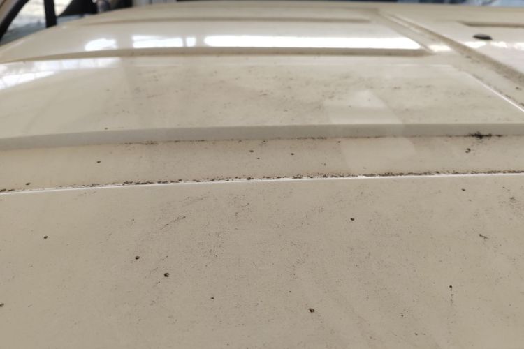 Ford Transit 2023 car image #25