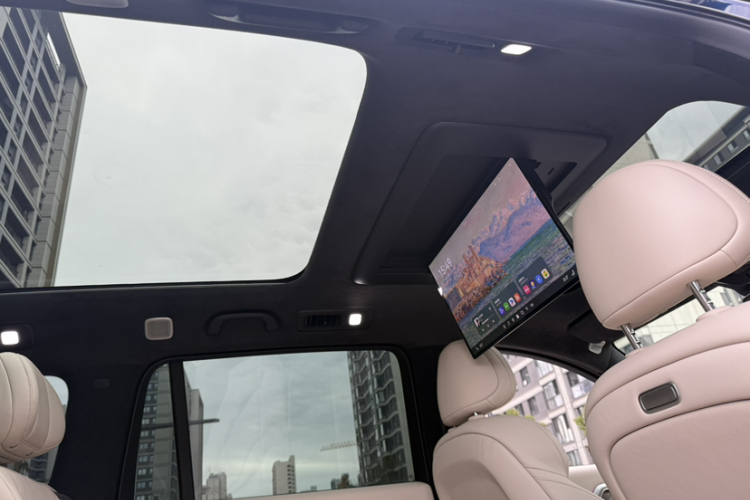 Deepal S09 2025 car image #25