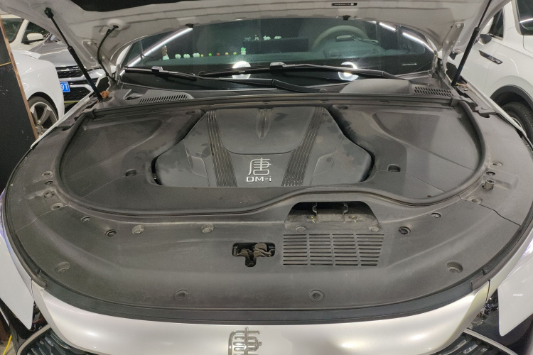 BYD Tang New Energy 2024 image de voiture #25