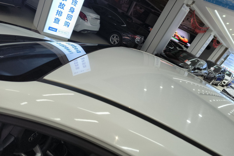 Kia Pegas 2020 car image #25