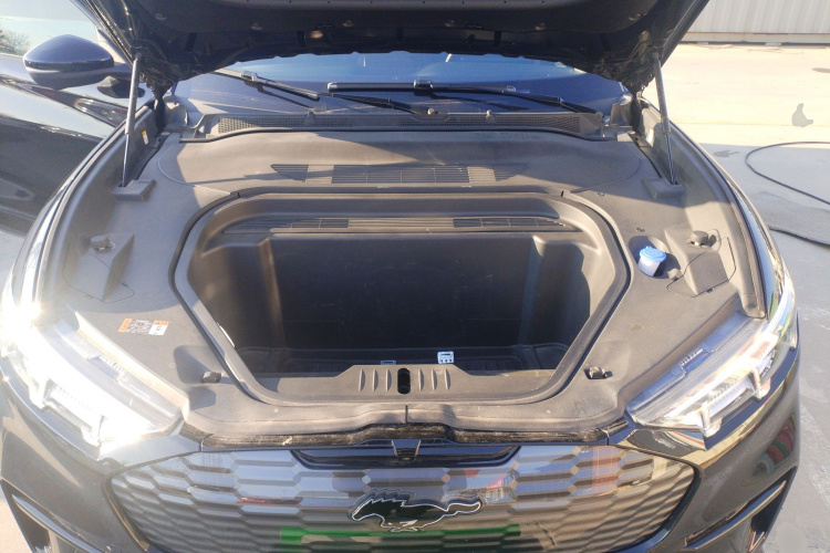 Ford Mustang Mach-E 2023 #25 Ford Mustang Mach-E 2023 car image #25