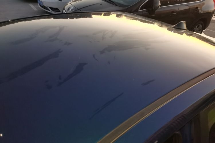 Kia 2019 car image #25