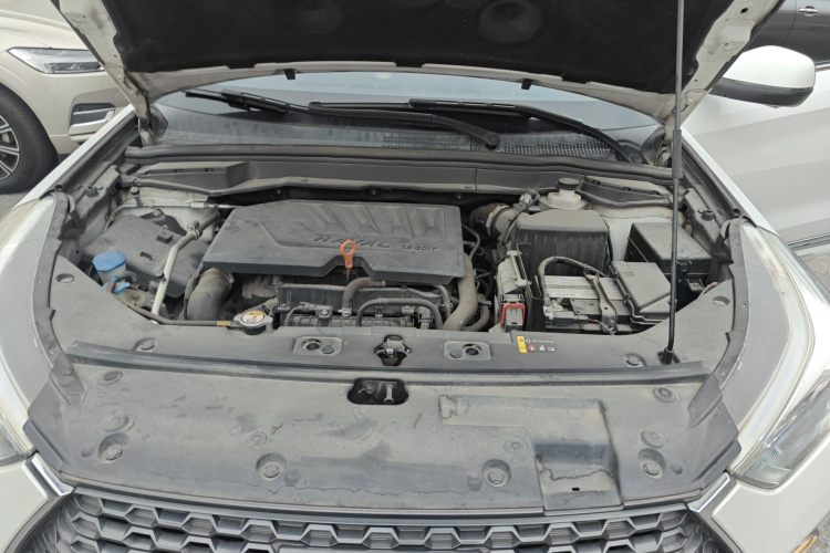 Haval H6 Coupe 2019 immagine di auto #25