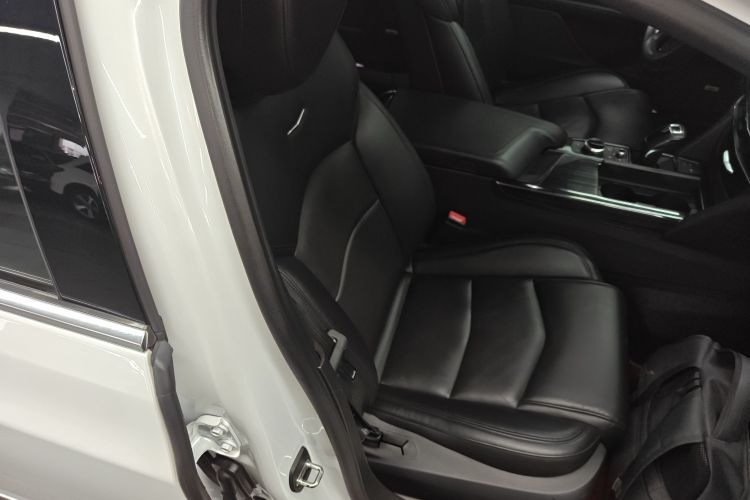 2019 #25 2019 car image #25