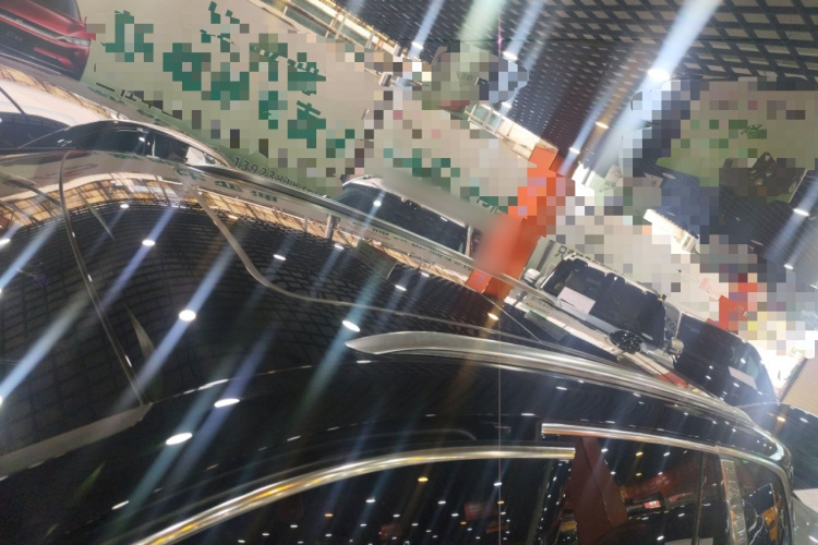 HongQi E-HS9 2021 immagine di auto #25