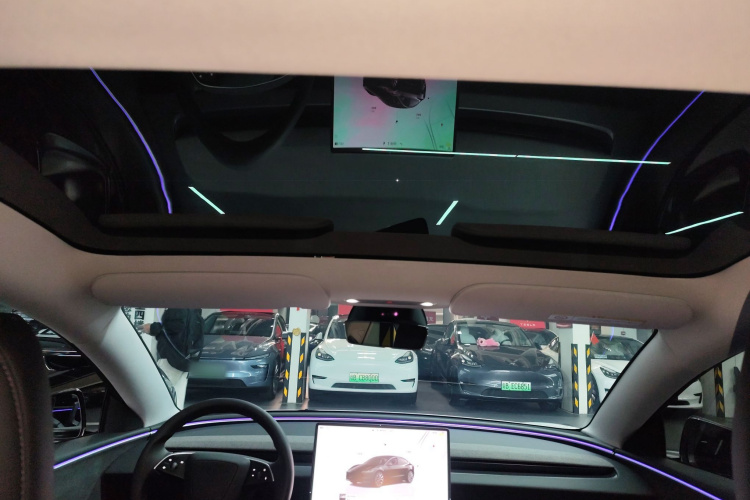 Tesla Model 3 2023 #25 Tesla Model 3 2023 car image #25