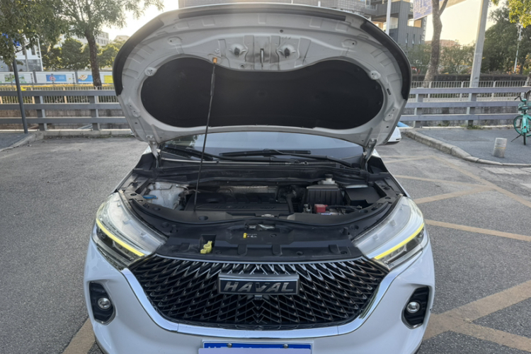 Haval M6 2021 immagine di auto #25