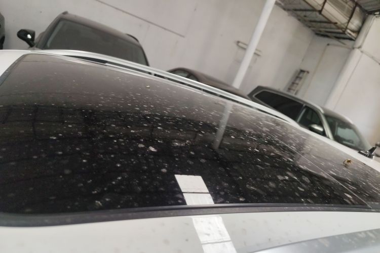T-Roc 2019 car image #25