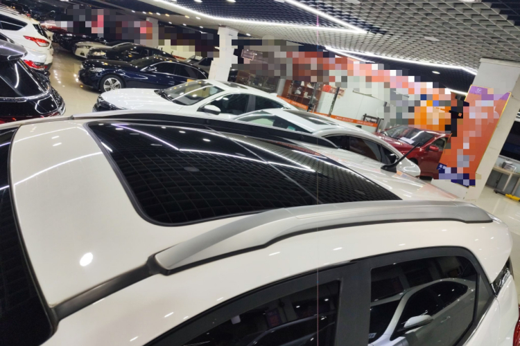 BYD Yuan New Energy 2020 immagine di auto #25