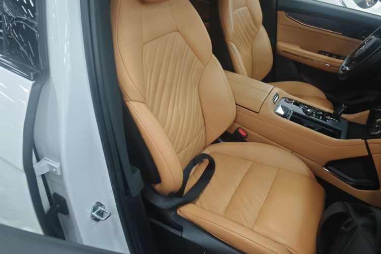 Lynk & Co 09 EM-P 2022 car image #25