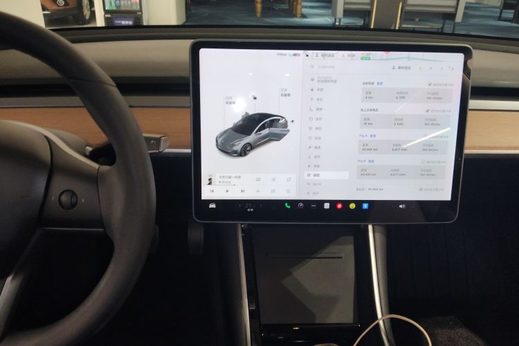 Tesla Model 3 2020 immagine di auto #25
