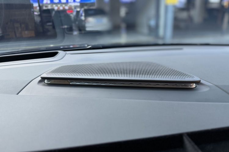 极氪 极氪009 2024 汽车图片 #25