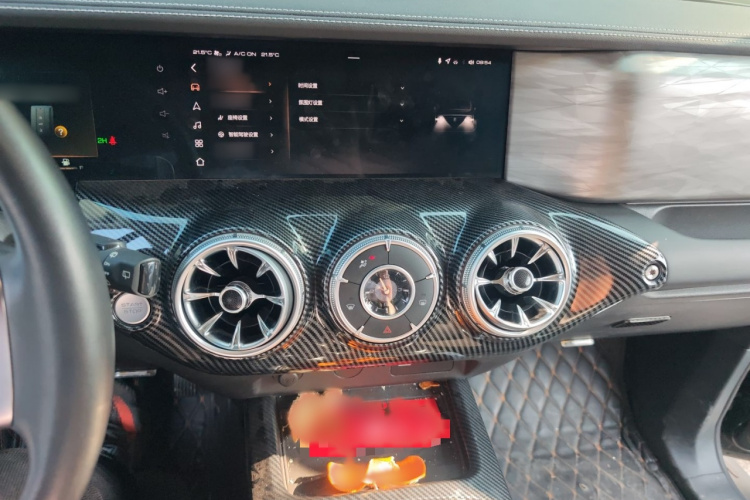 Tank 300 2021 car image #25