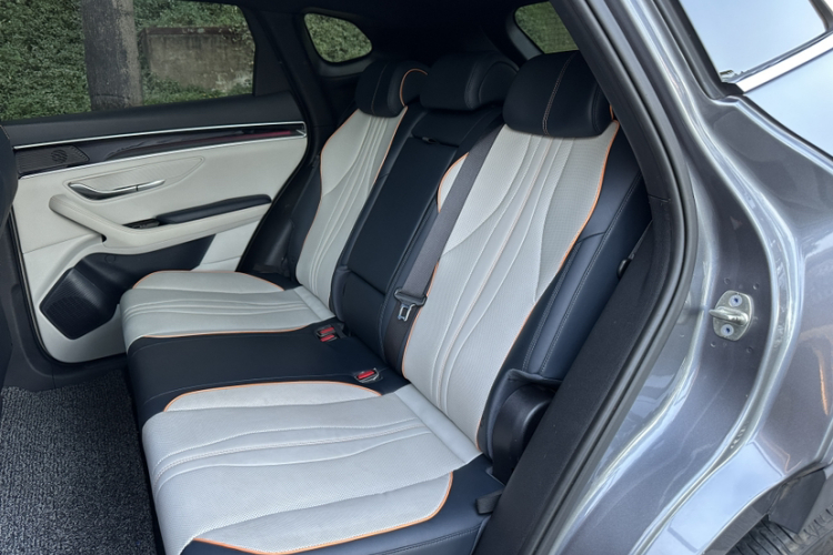 BYD Song Plus New Energy 2022 car image #25