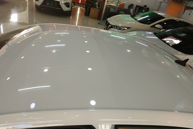 Volkswagen Bora 2021 car image #25