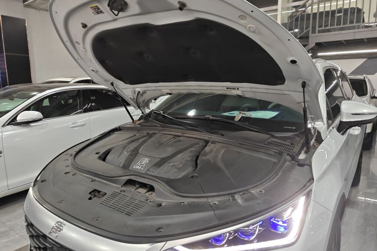 BYD Tang New Energy 2024 car image #25