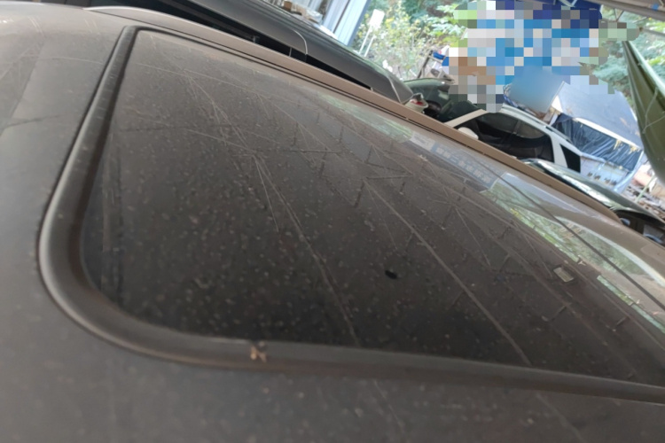 BYD Song Plus New Energy 2023 #25 BYD Song Plus New Energy 2023 car image #25